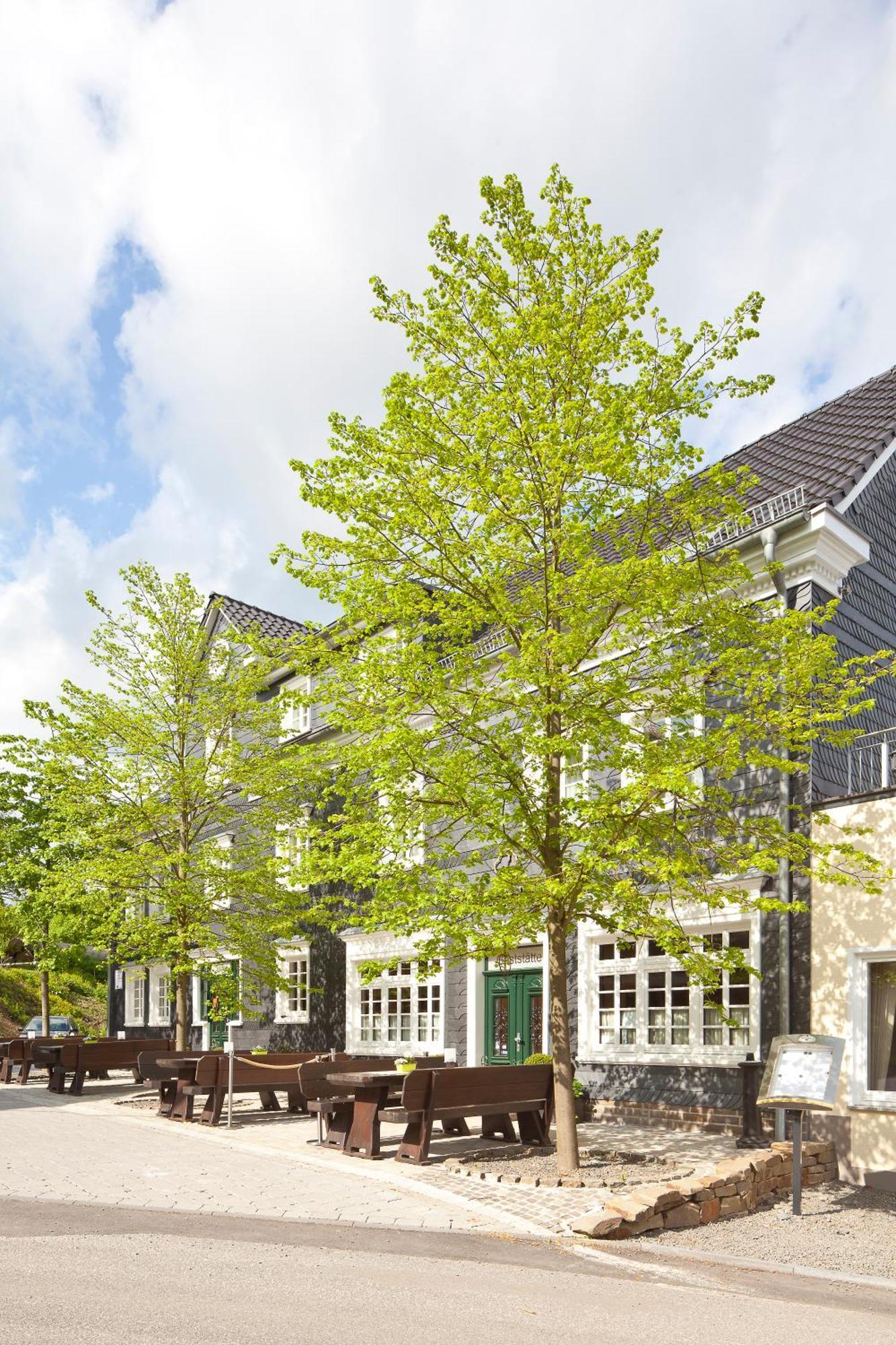 Zu Den Drei Linden Hotel Wermelskirchen Exterior foto