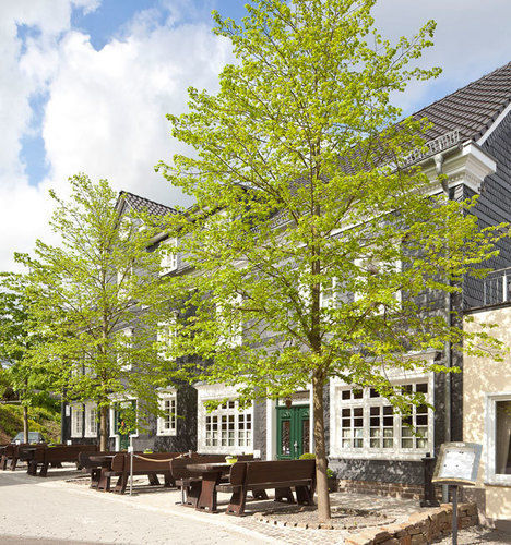 Zu Den Drei Linden Hotel Wermelskirchen Exterior foto